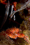 D9SC_0007.jpg