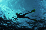 snorkler.jpg