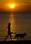 03girlwithdog.jpg