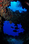 cave.jpg