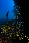 20100406_maldives_3422